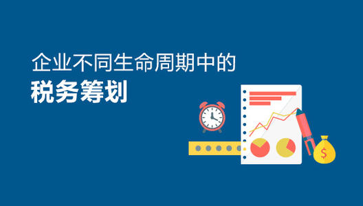 税务筹划管理 税务筹划管理